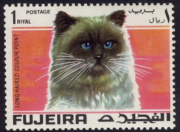 1967 Fujeira Long Haired Colour Point Cat Postage Stamp