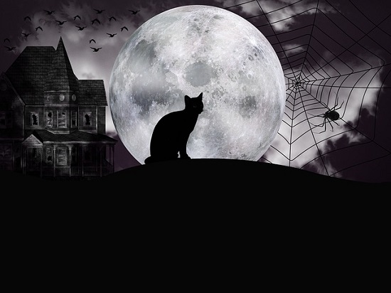 Halloween Night Fantasy Full Moon with Cat