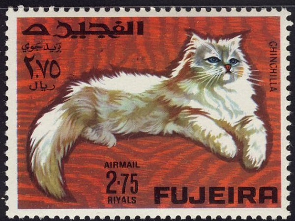 1967 Fujeira Chinchilla Cat Postage Stamp