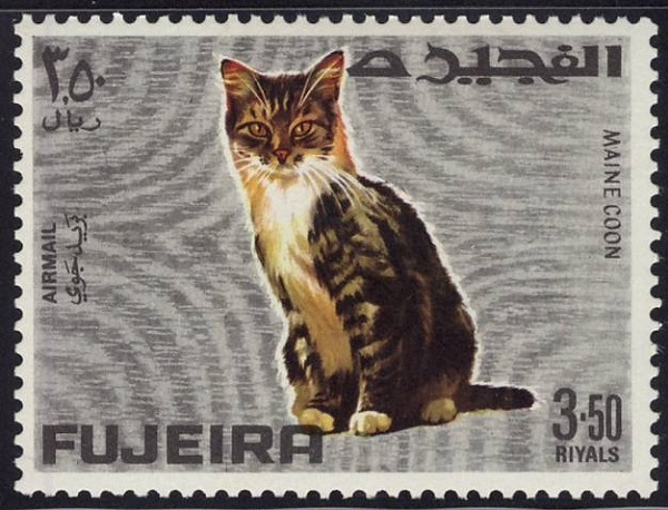 1967 Fujeira Maine Coon Cat Postage Stamp