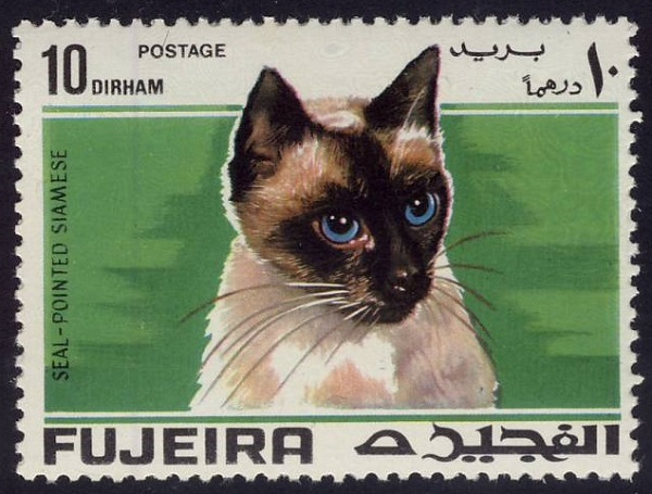 1967 Fujeira Seal Pointed Siamese Cat Postage Stamp