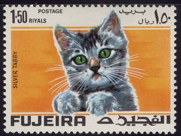 1967 Fujeira Silver Tabby Cat Postage Stamp
