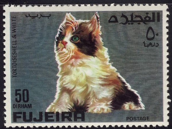 1967 Fujeira Tortoiseshell and White Cat Postage Stamp