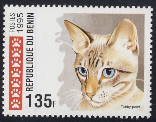 1995 Benin Tabby Point Cat Postage Stamp