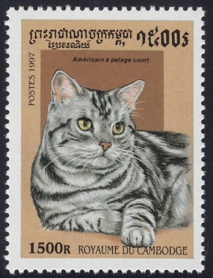 1997 Cambodia American Shorthair Cat Postage Stamp