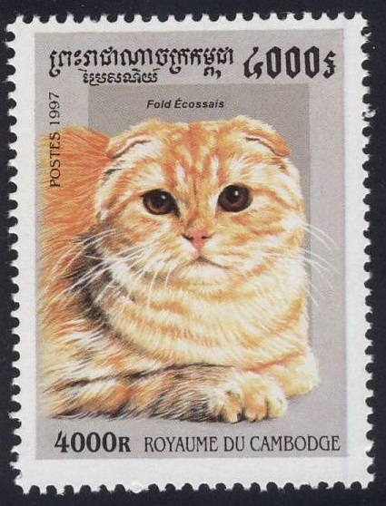 1997 Cambodia Scottish Fold Cat Postage Stamp