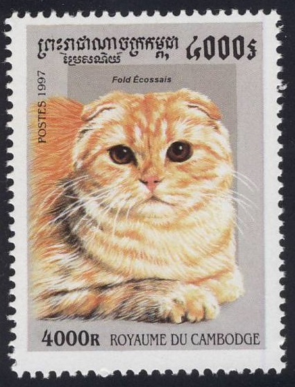 1997 Cambodia Scottish Fold Cat Postage Stamp 1997 Cambodia Scottish Fold Cat Postage Stamp