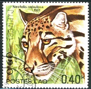 Clouded Leopard Postage Stamp from Laos