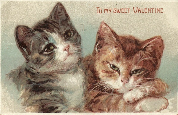 To My Sweet Valentine Two Cats Vintage Postcard
